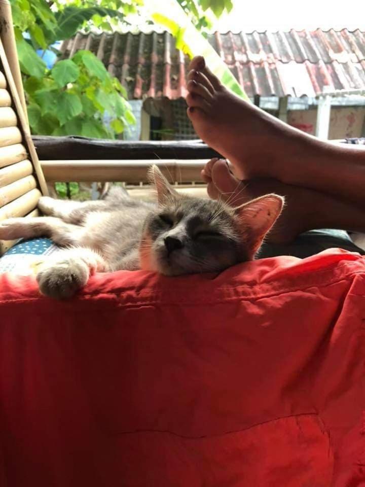Angel Lanta Bungalow Ko Lanta Kültér fotó